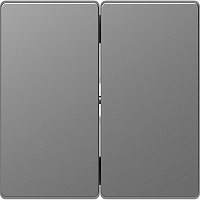 Лицевая панель Schneider Electric Merten D-Life для 2-кл. выключателя сталь